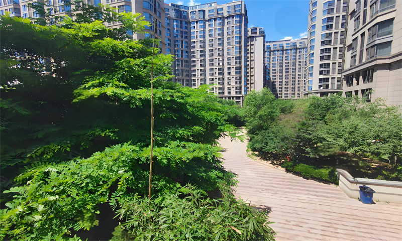 京泰自主城
