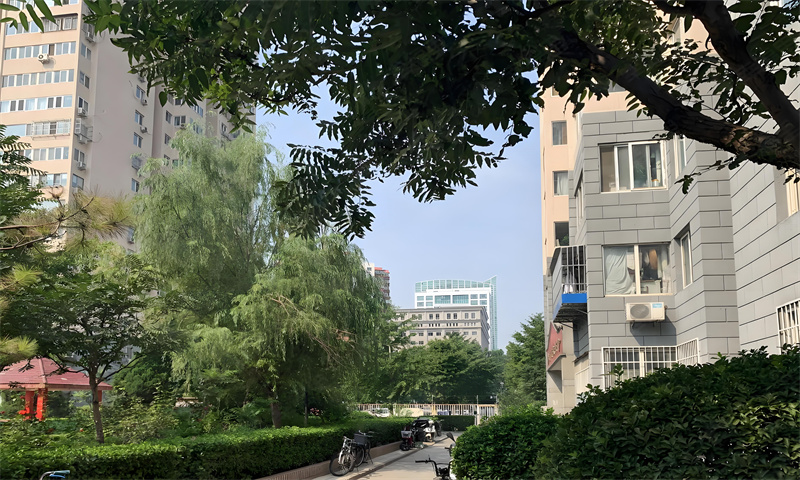 延静东里